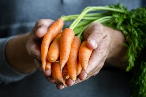 shutterstock_310767119-1-1-e1619625312989